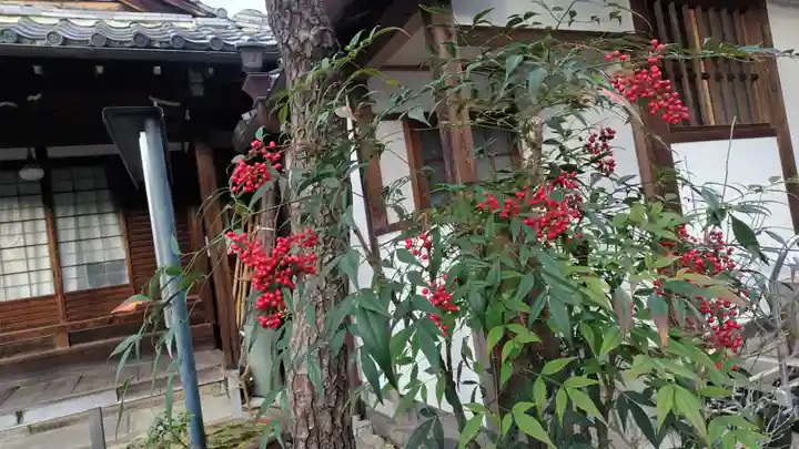 祐正寺(京都府)