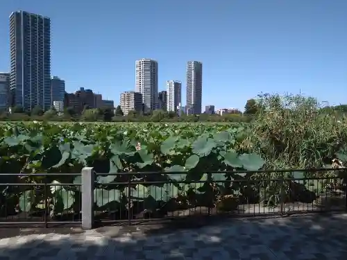 寛永寺不忍池弁天堂の自然