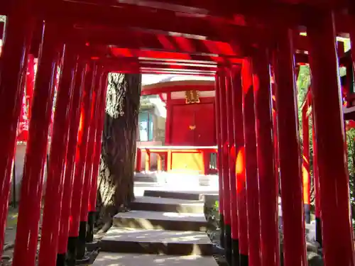 乃木神社の鳥居