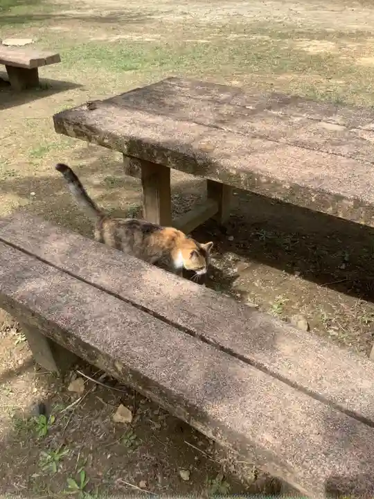 玉野御嶽神社の動物