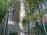 修禅寺(静岡県)