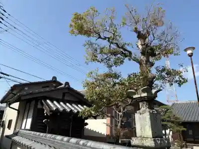 寿宝寺の{uncategorized: "未分類", other: "その他", undefined: "問題あり", building: "その他建物", grave: "お墓", sacred_gate: "鳥居", guardian: "狛犬", statue: "像", buddha: "仏像", history: "歴史", nature: "自然", garden: "庭園", animal: "動物", pagoda: "塔", temizu: "手水舎", mountain_gate: "山門・神門", sanctuary: "本殿・本堂", subordinate: "末社・摂社", art: "芸術", scenery: "景色", jizo: "地蔵", ema: "絵馬", goshuin: "御朱印", omikuji: "おみくじ", items: "授与品その他", amulet: "お守り", goshuincho: "御朱印帳", eats: "食事", festival: "お祭り", votive_dance: "神楽", shichigosan: "七五三参", wedding: "結婚式", experience: "体験その他", initially: "初詣", around: "周辺", anti_infection: "感染症対策"}