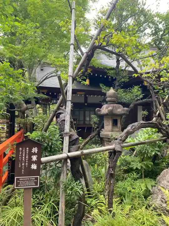 愛宕神社(東京都)