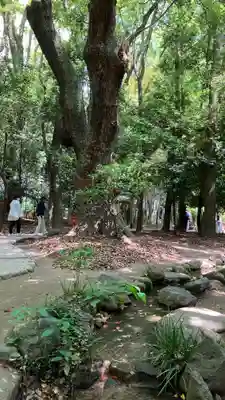 生田神社(兵庫県)