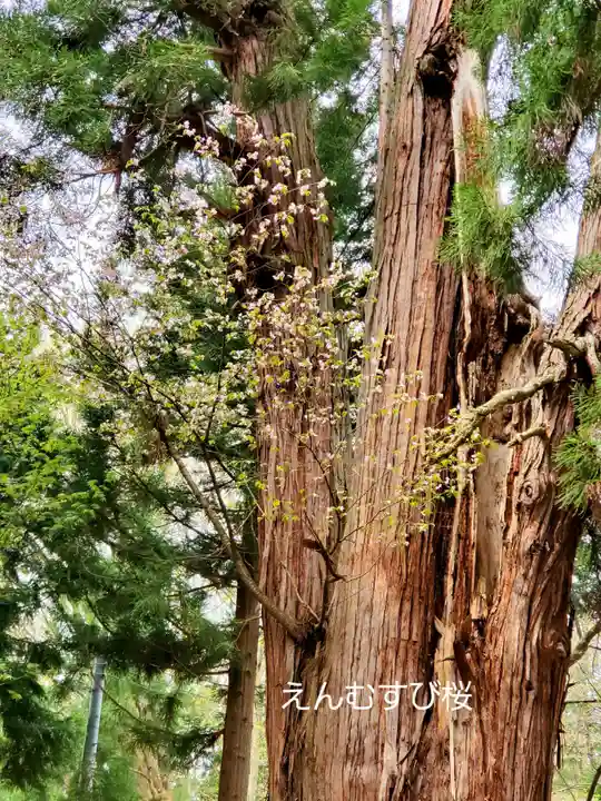磐椅神社のその他建物