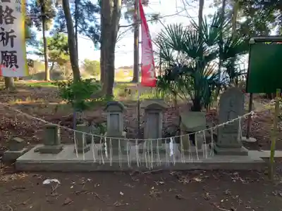 大蛇摩賀多神社(千葉県)