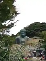 高徳院(神奈川県)