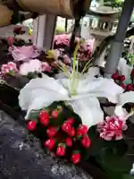 鳩森八幡神社(東京都)