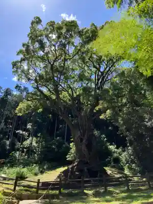 武雄神社(佐賀県)