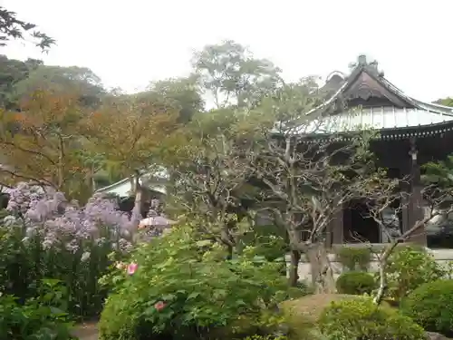 海蔵寺の景色