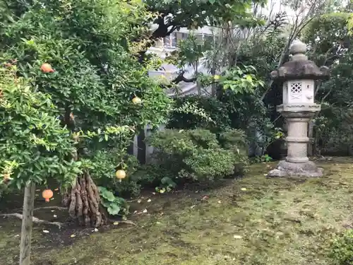 傳心寺の庭園