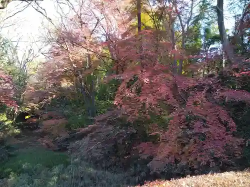 武田神社の庭園