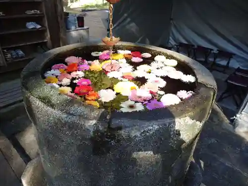 田間神社(千葉県)