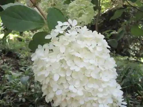 播州清水寺の自然