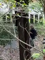 古法華寺(多聞寺境外仏堂)のその他建物