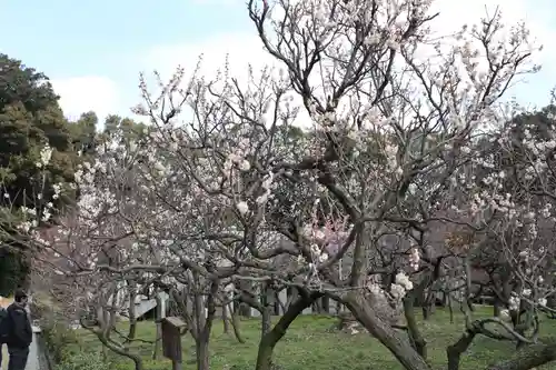 道明寺天満宮の自然