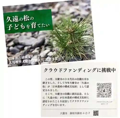 大慶寺のその他建物