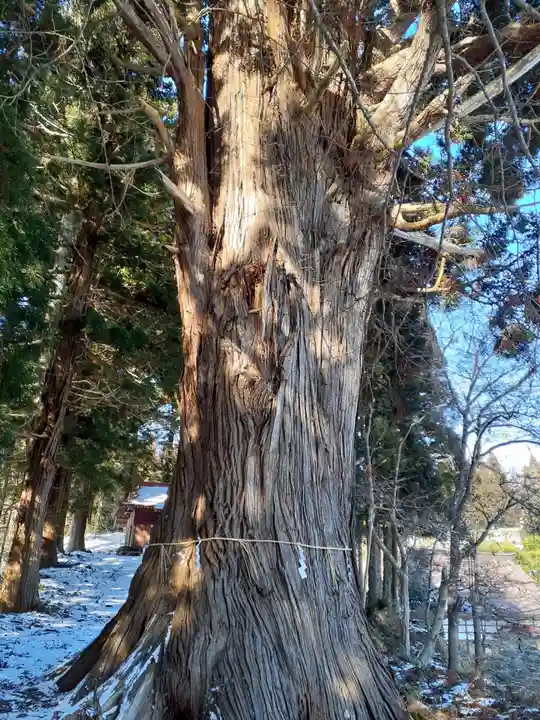 秋葉神社(岩手県)
