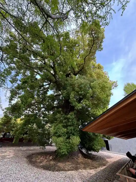 上野東照宮(東京都)