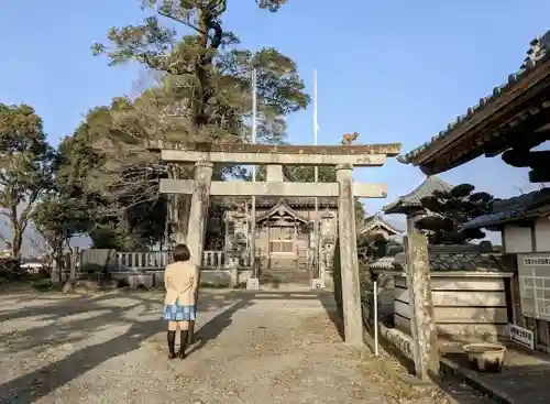 八幡神社 (根古地)の鳥居