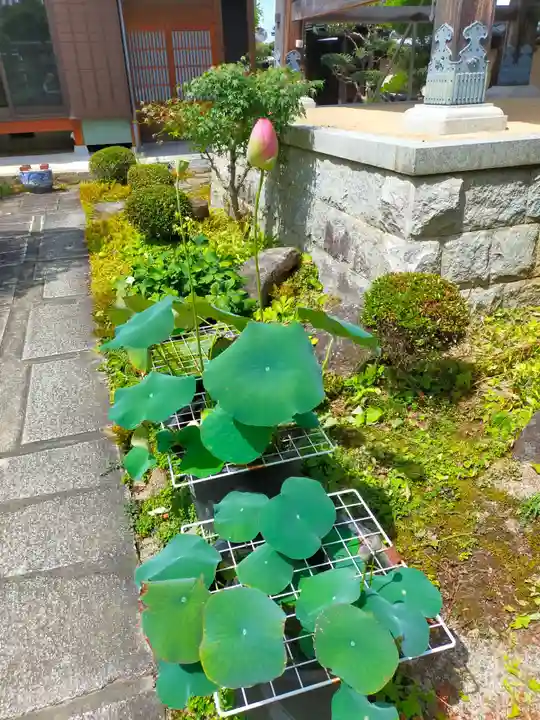 専明寺(奈良県)