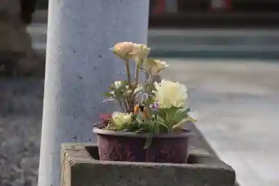 熊野福藏神社の手水舎