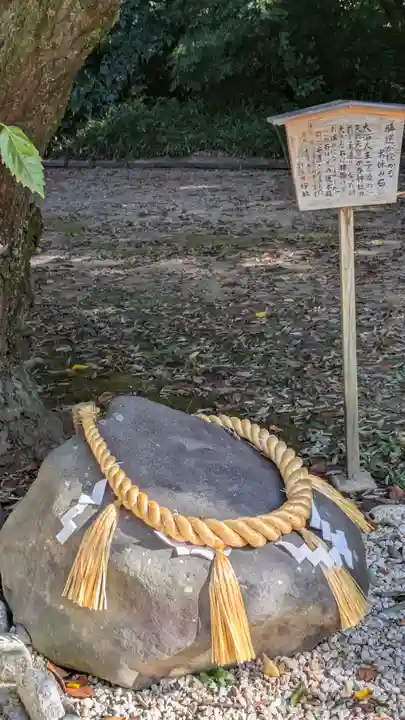 許波多神社(小幡東中鎮座)(京都府)