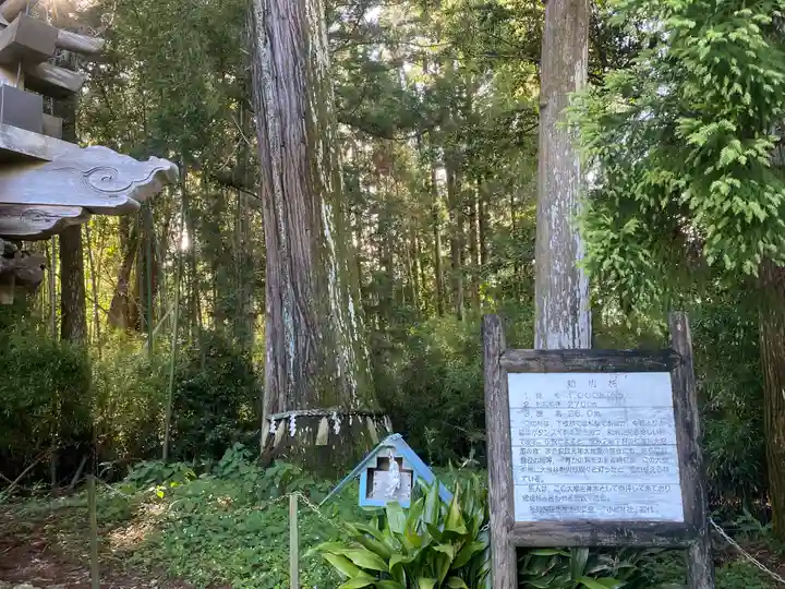 小村神社(高知県)