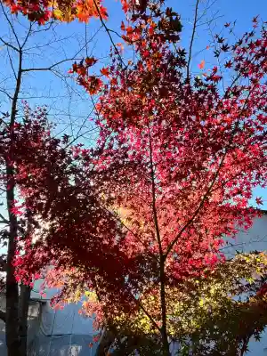 善水寺(滋賀県)