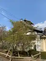 長徳寺(京都府)