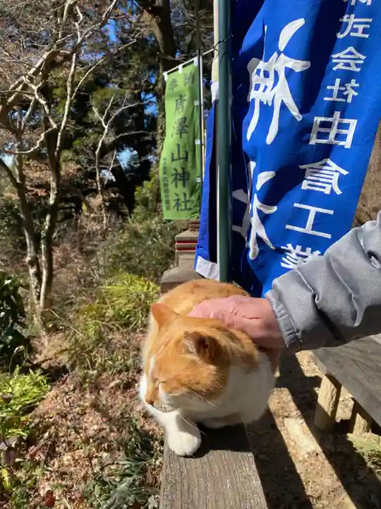 唐澤山神社(栃木県)