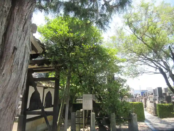 清巌寺(栃木県)