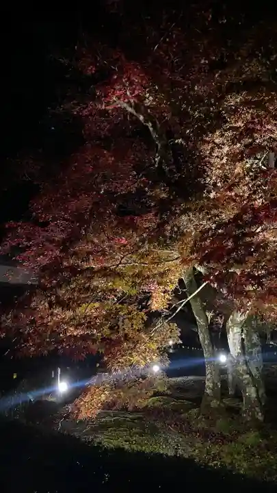 永源寺(滋賀県)