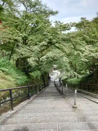 清水寺の景色