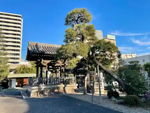 海晏寺のその他建物