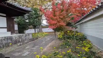 興聖寺(京都府)