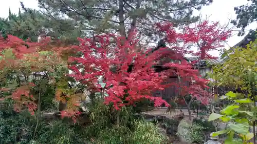 御前神社の庭園