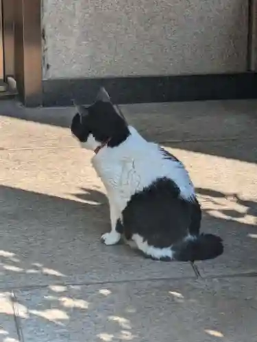 回向院(東京都)