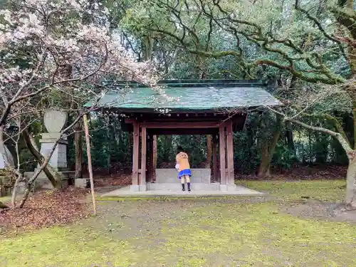 乃木神社の手水舎