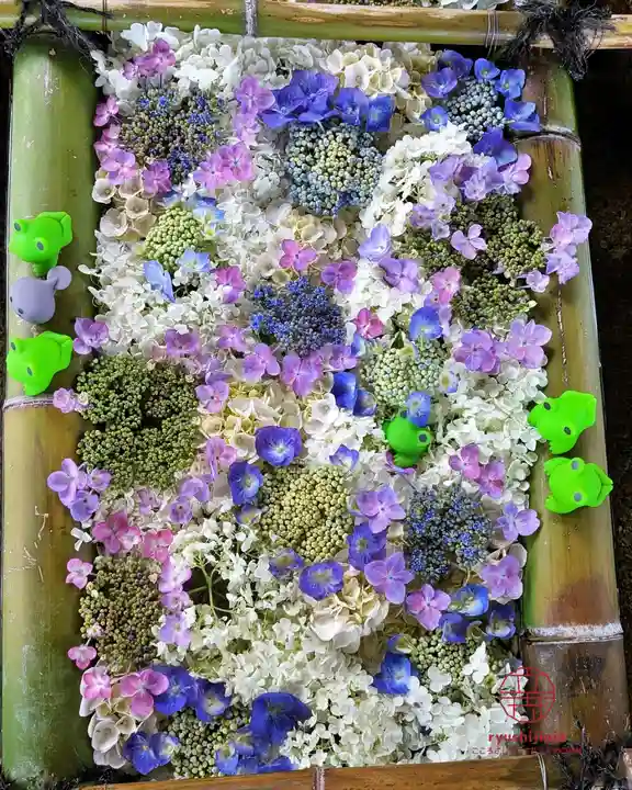 立志神社(滋賀県)