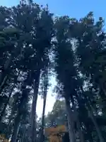 大宮温泉神社(栃木県)