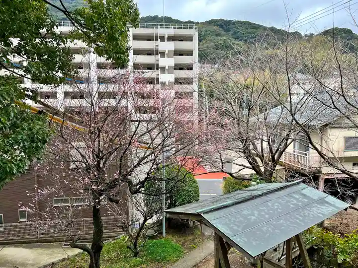 水神神社(長崎県)