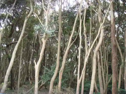 酒列磯前神社の自然