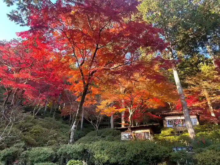 大興善寺(佐賀県)