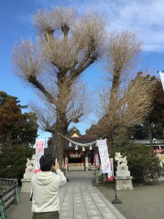 亀ケ池八幡宮の自然