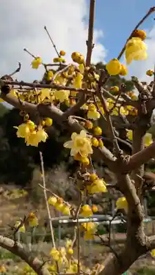 惠心院（恵心院）(京都府)