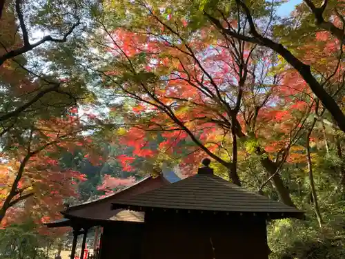 普門寺(切り絵御朱印発祥の寺)の景色