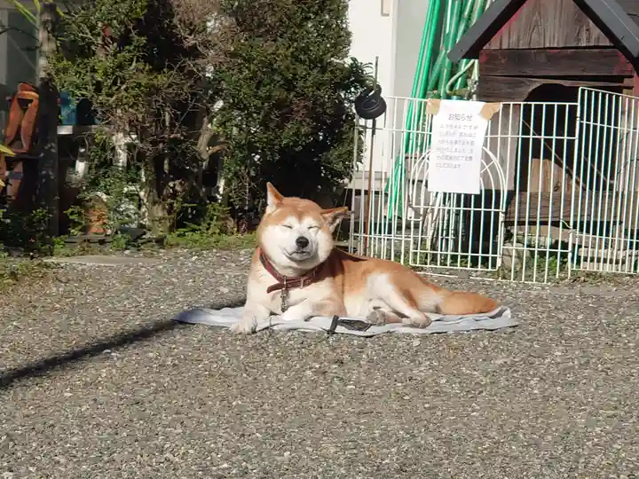 母智丘神社(東京都)