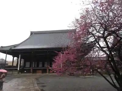 興正寺の本殿・本堂