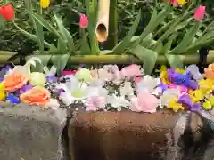 伊和志津神社の手水